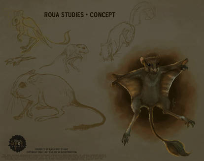 ROUA Concept01