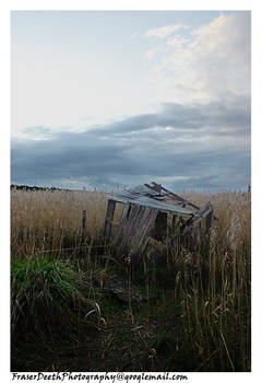 Wetlands - Shed