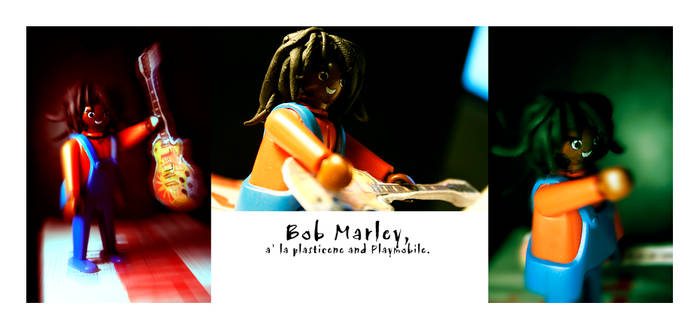 Playmobile Marley