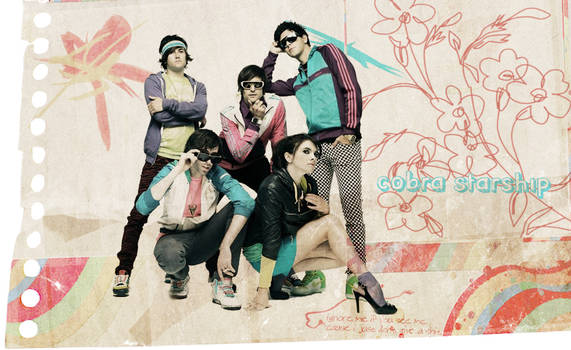 Cobra Starship Banner