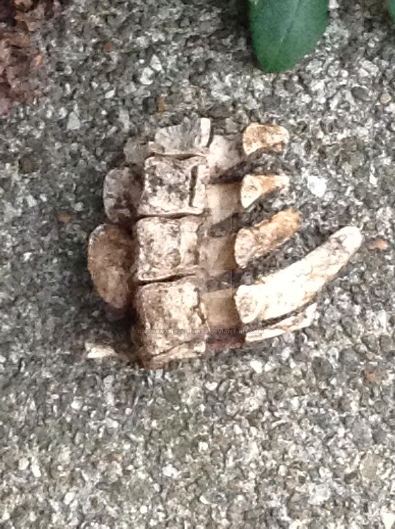 What the heck is that?!