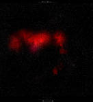 Night Sky Red Nebula 1.0