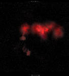Night Sky Red Nebula 1.0.1 by Peristrophe