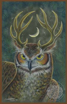 The Owl Stag