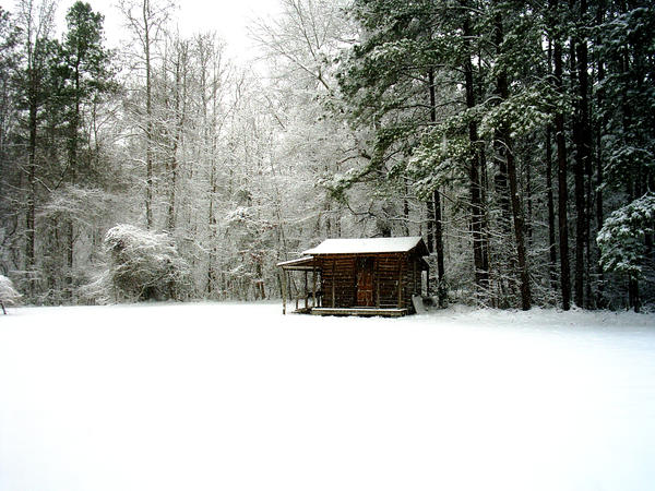 The House in the Woods