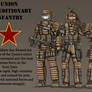 SPDF: Union Expeditionary Infantry