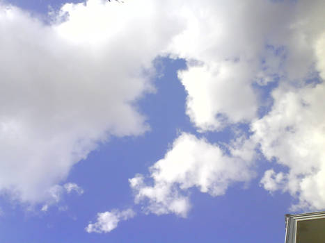 photograph of sky