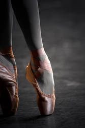 Ballet Shoes