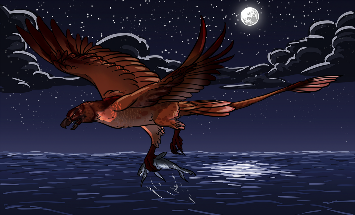 Solar Flare - Midnight fishing by ninaliz Solar Flare - Midnight fishing by ninaliz