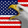 American Pride