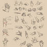 Hands Reference I