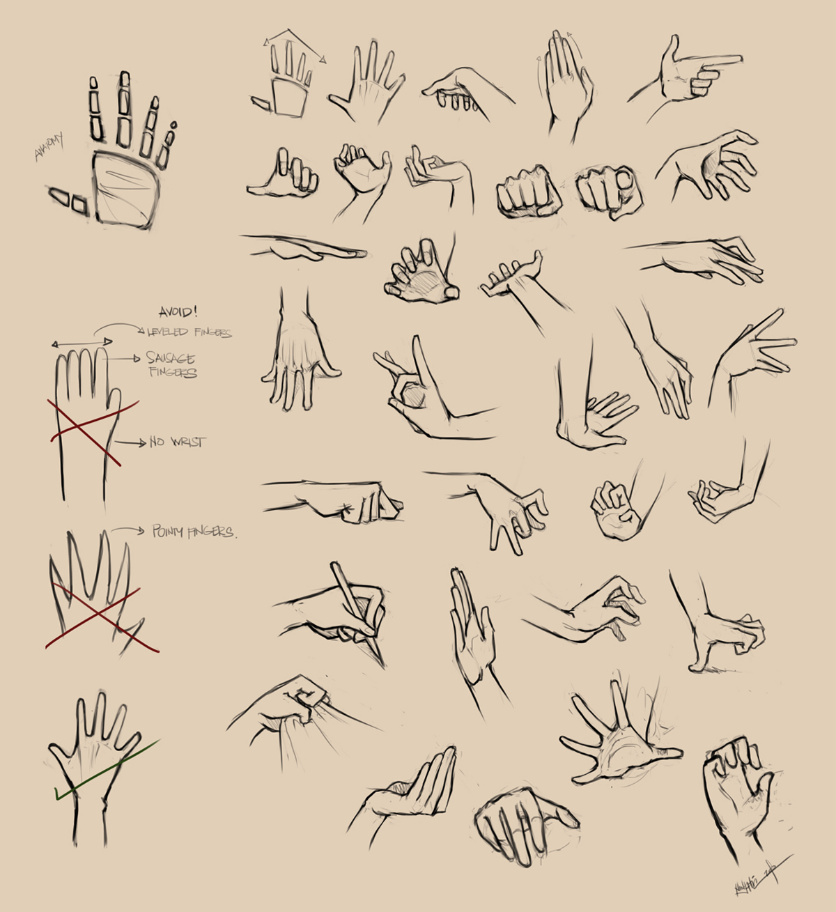 Hands Reference I