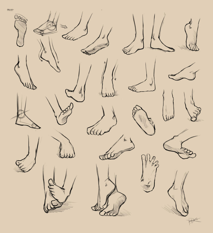 Feet Reference