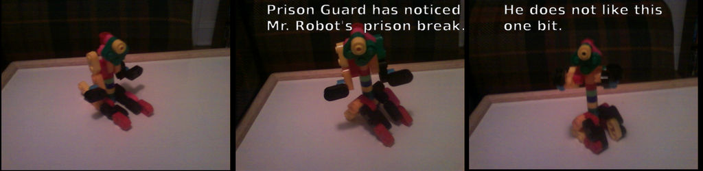 The Prison Guard