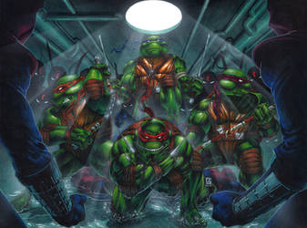 Heroes in a Half Shell, Turtle Power!