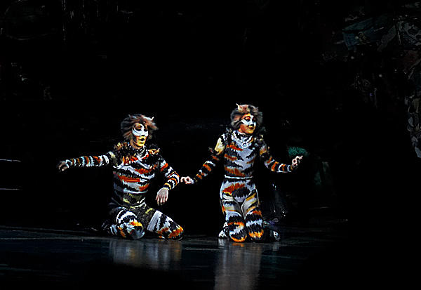 mungo and rumple by victoriacats09 on DeviantArt