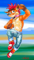 Crash Bandicoot