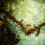 Connected