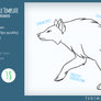 Wolf Trot Cycle Animated Template