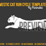 Cat Run Cycle Template