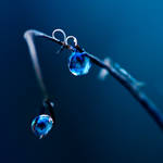 Drown in two drops of water... by julie-rc