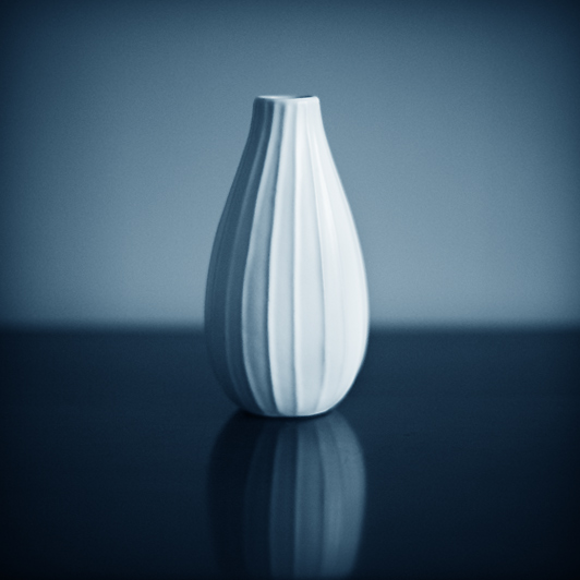 the vase