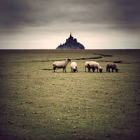 Le mont et les moutons