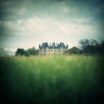 Grasses castle ... by julie-rc