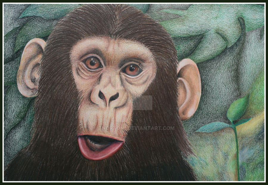 Monkey around by tnorton1 on DeviantArt