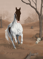 Badlands by Citharoedum