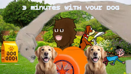 3 minutes with your dog