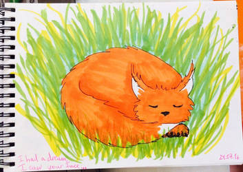 Foxcat sketch