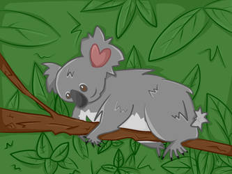 Koala