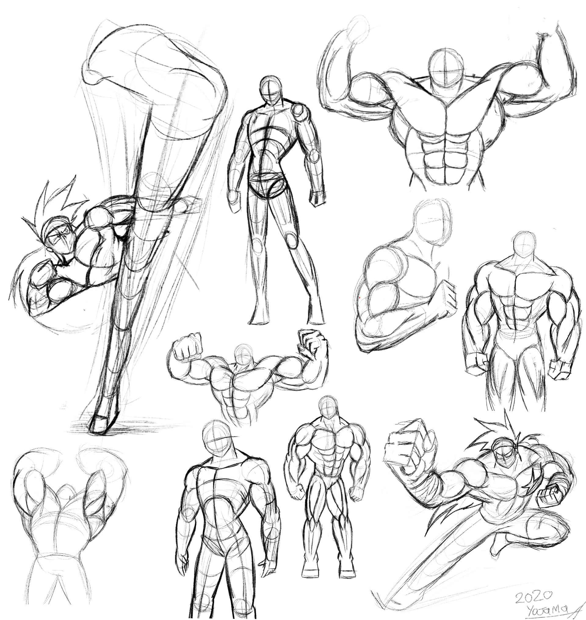 Musculation Drawing Muscle practice by Yojama on DeviantArt
