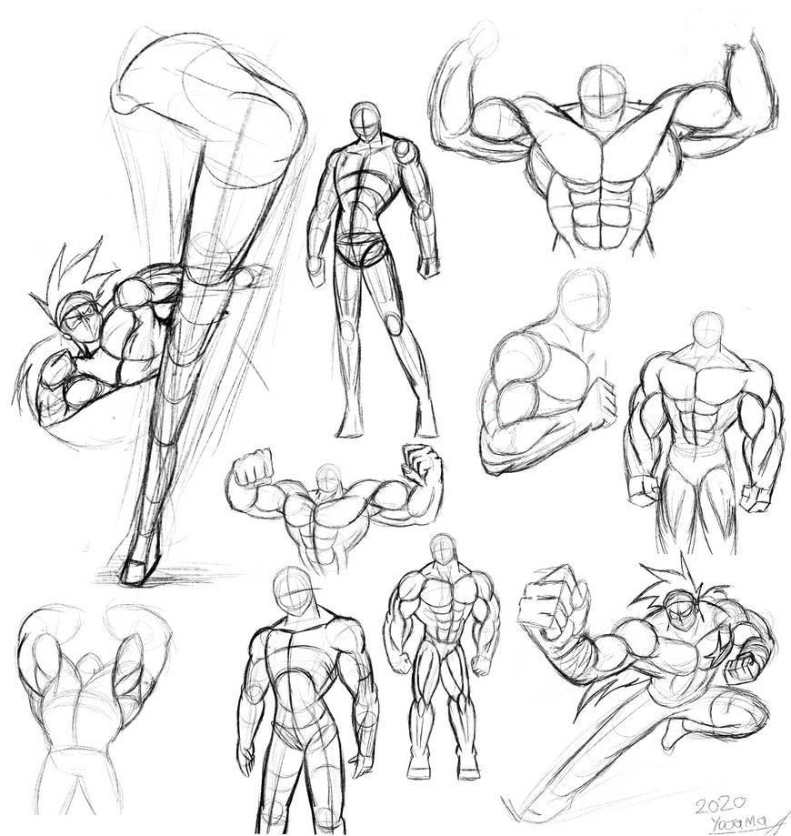 Muscle practice by Yojama on DeviantArt