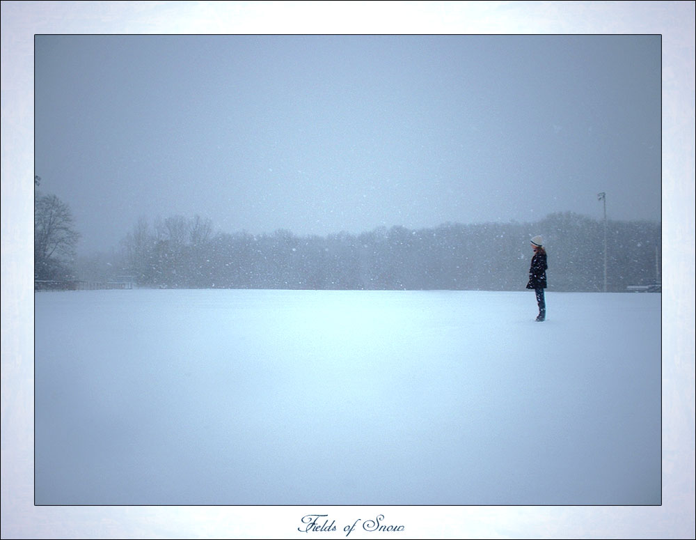 Fields of Snow Photograph