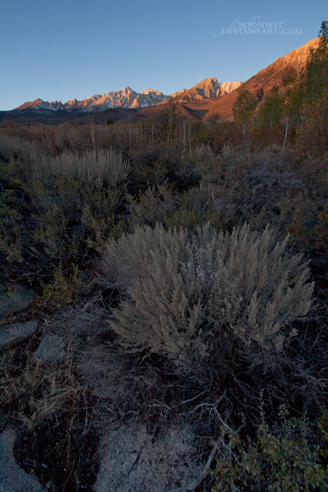 Sierra Nevada Morning