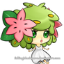 shaymin meomon