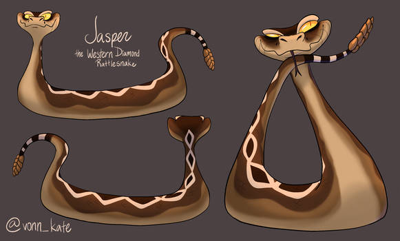 Jasper the Rattlesnake- Turnaround