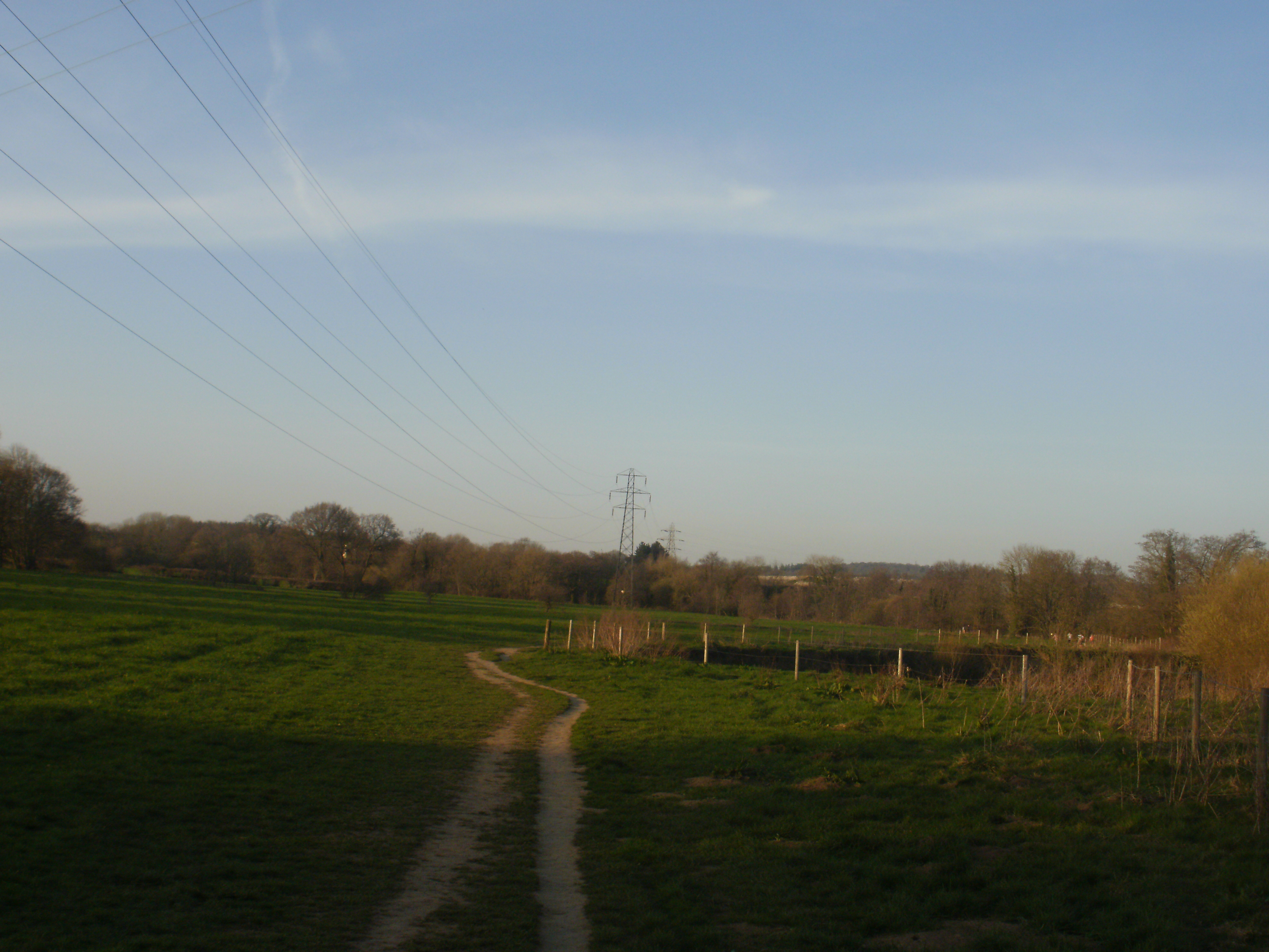 Distant Pylons In The Endless Field