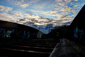 On The Disused Railway Bridge