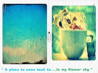 My Flower Sky