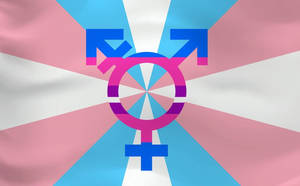 New Transgender Flag