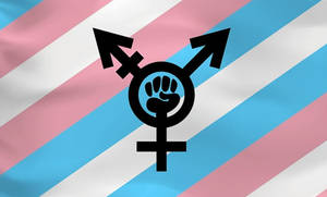 Transgender Flag With Stripes