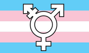 Transgender Flag With Symbol