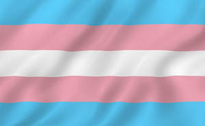 Transgender Flag