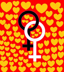 Lesbian Chinese Wedding Day sign