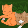 Squirrelpaw And Leafpaw