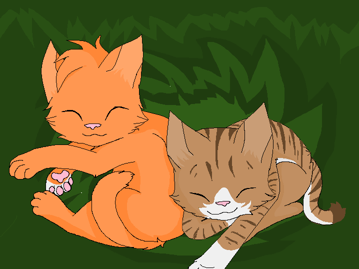 Squirrelpaw And Leafpaw