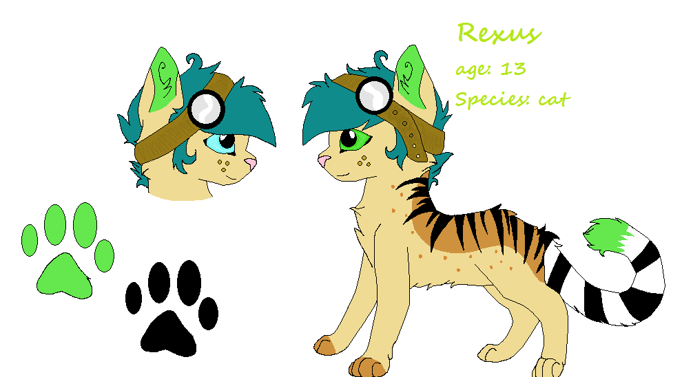 Rex Ref Sheet